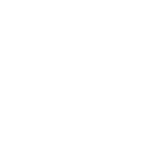 Influencer Marketing